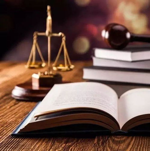 以高水平高质量的司法产品服务党和国家大局